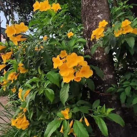 Montra Guesthouse Ranong Ngoại thất bức ảnh